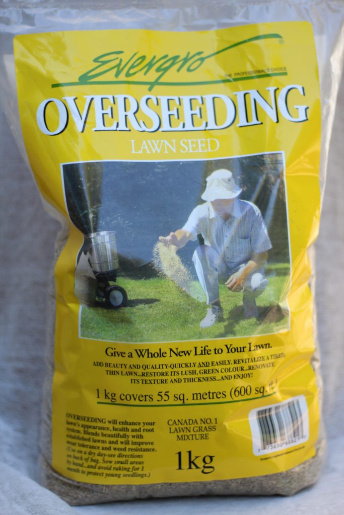 Overseeding Lawn Seed 1kg or 4kg Southwest Garden Supplies Ltd