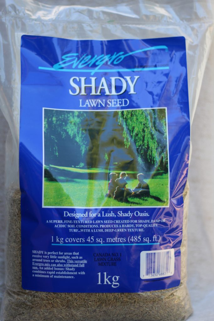 Shady Lawn Seed 1kg or 4kg Southwest Garden Supplies Ltd