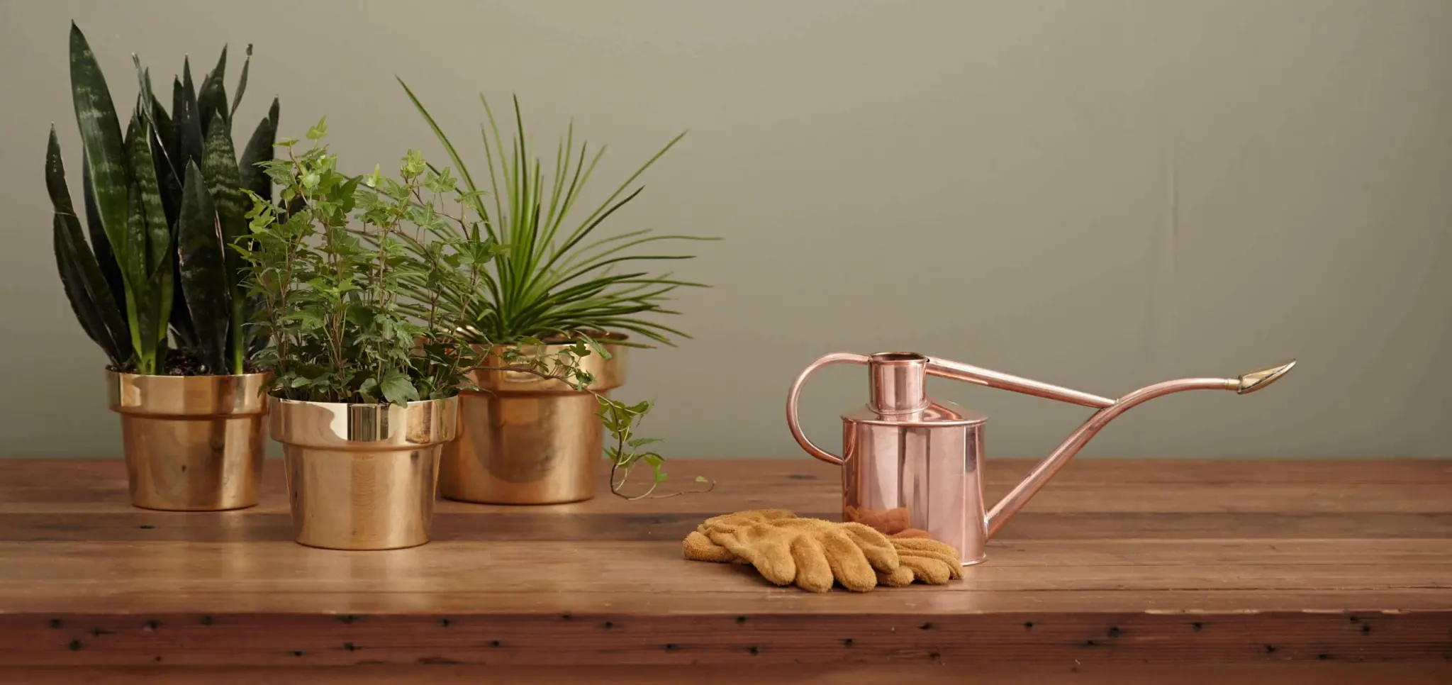 Services - Southwest Garden Supplies Ltd